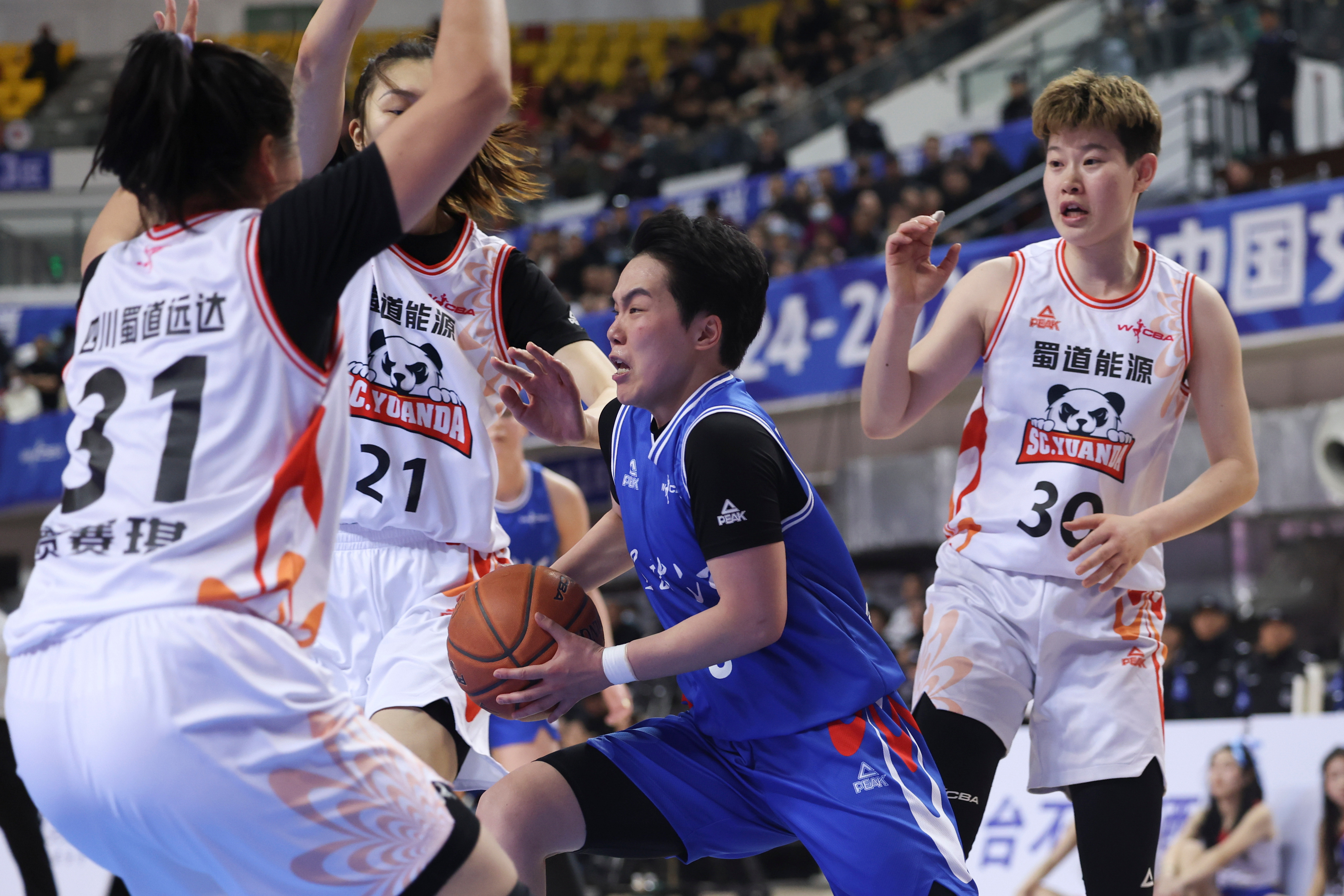 开云体育平台APP-四川男篮连胜收官，季后赛状态火爆