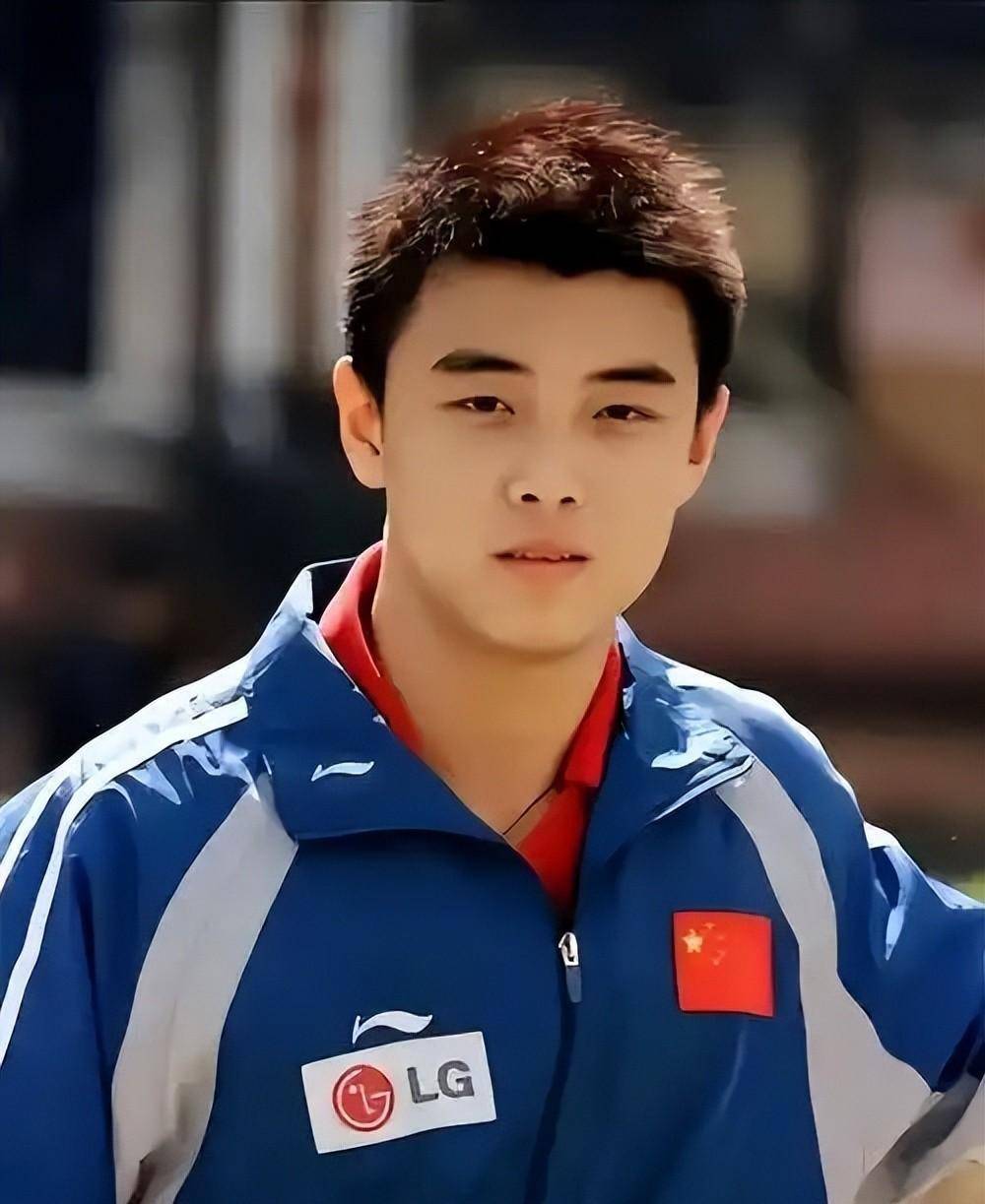 瑞典乒乓球队逆转法国乒乓球队，王皓关键制胜的简单介绍