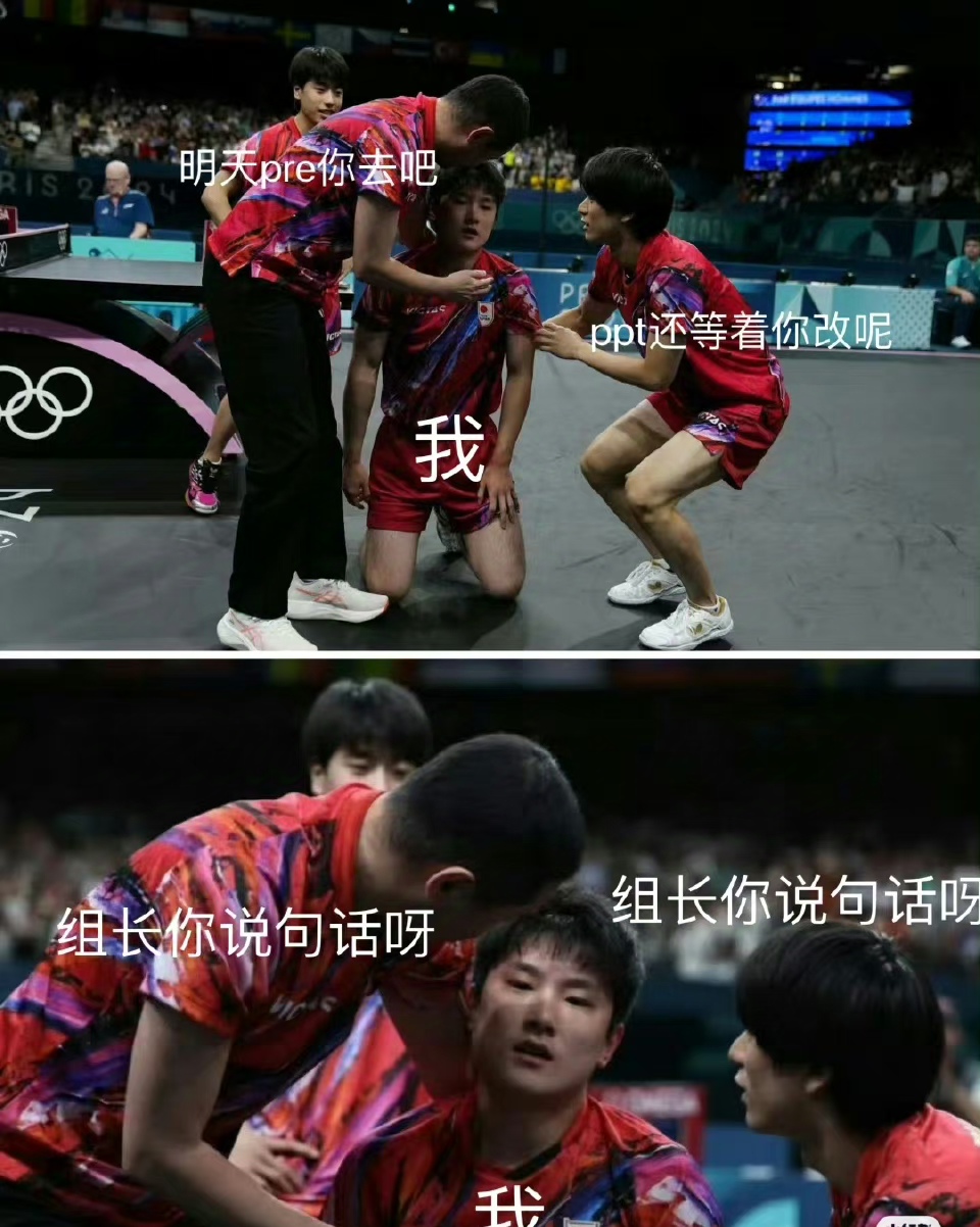 关于奥地利队横扫法国队，张本智和惊艳四座的信息